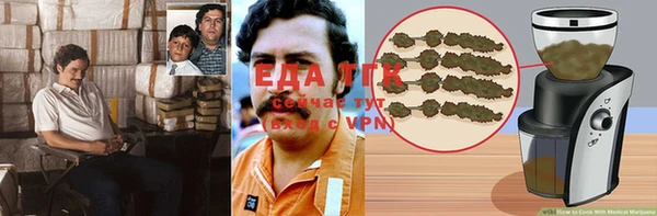 ешки Алексин
