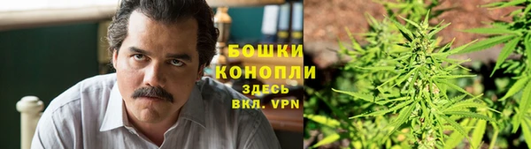 ешки Алексин