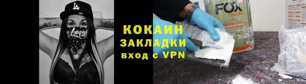ешки Алексин