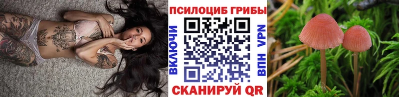 Псилоцибиновые грибы мухоморы  Майкоп 