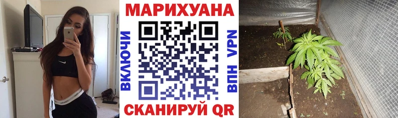 Каннабис марихуана  Майкоп 